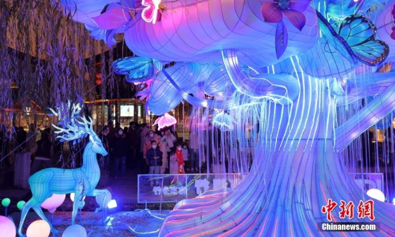 Colorful lanterns are illuminated to welcome the upcoming Year of the Rabbit in Nanjing, east China's Jiangsu Province, Jan. 3, 2022. (Photo: China News Service/Yang Bo)