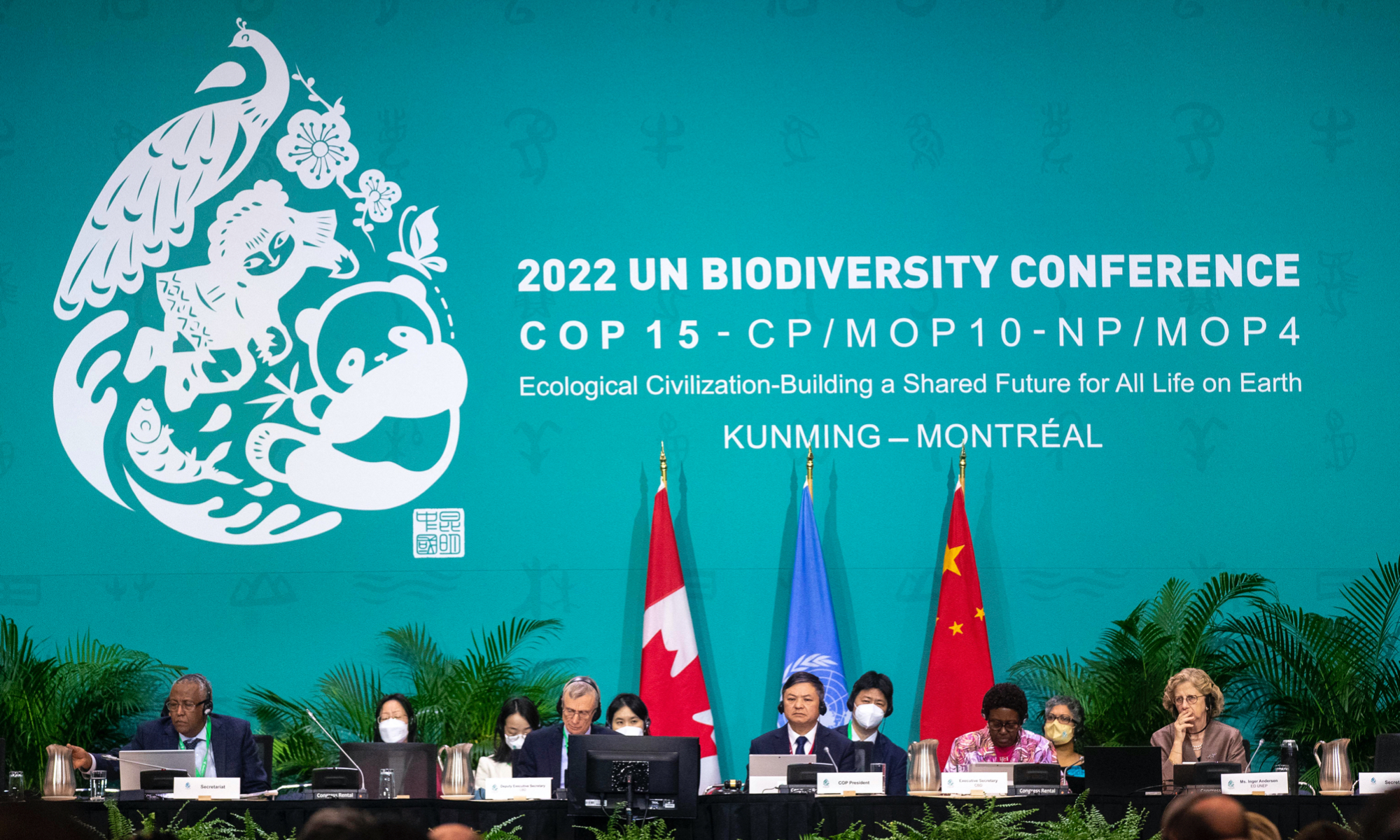 Chinese Minister of Ecology and Environment Huang Runqiu (centre-rignt), Secretariat of the Convention on Biological Diversity, David Ainsworth (centre-left), Executive Secretary of the UN Convention on Biological Diversity,  Elizabeth Maruma Mrema (2nd right) and Inger Andersen Executive Director of the United Nations Environment Program (right) during a plenary meeting at the 2022 UN Biodiversity Conference, known as COP 15, in Montreal, Canada on Monday. Photo: AFP