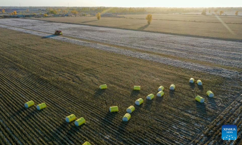 This aerial photo taken on Nov. 10, 2022 shows a cotton picker at work in Xayar County, northwest China's Xinjiang Uygur Autonomous Region. The cotton harvest is drawing to an end in Xayar County, a premium-quality cotton production base of China. As of Friday, 1.706 million mu (about 113,733 hectares) of cotton has been harvested here. (Photo by Liu Yuzhu/Xinhua)