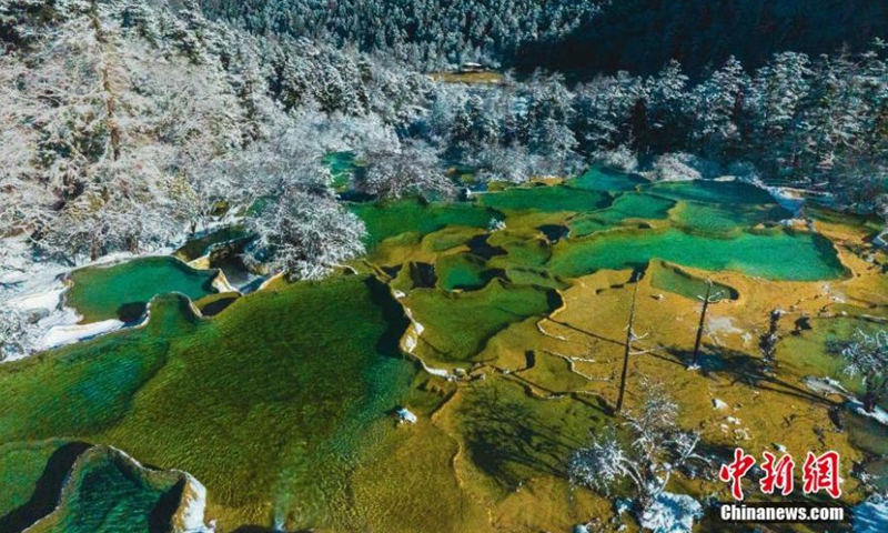 碧蓝的池塘和雪山，在中国西南部的四川省黄龙风景区呈现出迷人的仙境。 黄龙风景区以其五颜六色的池塘、喀斯特地貌和山谷而闻名。  （图片：中新社/蒋跃斌）
