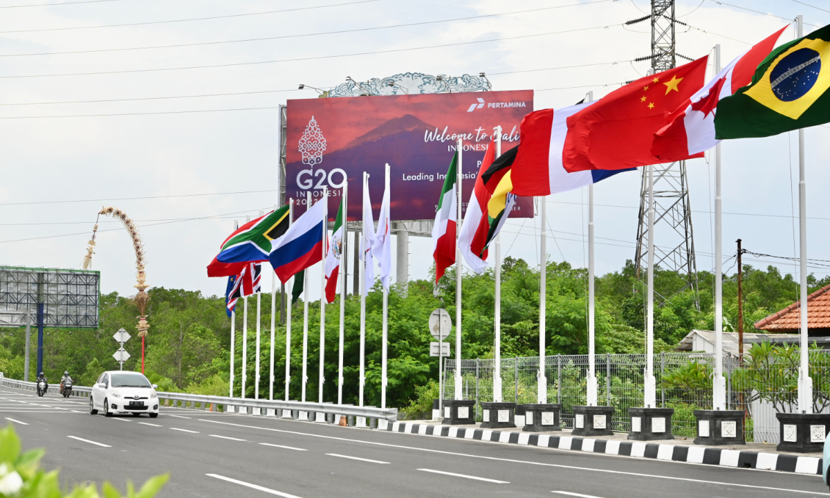Flags of G20 member countries on a road in Bali, Indonesia on November 13, 2022. Photo: VCG