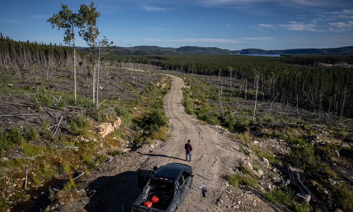 Indigenous Innu caribou researcher Jean-Luc Kanape stands before an area of boreal tree species felled during salvage logging efforts following an insect outbreak in the Canadian boreal forest in Quebec, Canada earlier in 2022. Photo: AFP