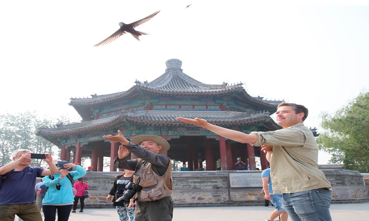 Terry Townshend and local birdwatchers observe birds in the Summer Palace of Beijing in 2015. Photo: Courtesy of Townshend