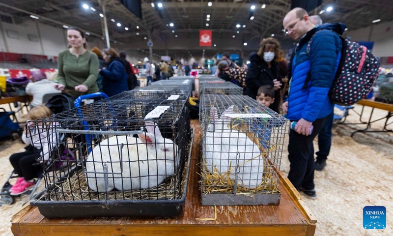 People visit the Rabbit & Cavy Show at the 2022 Royal Agricultural Winter Fair in Toronto, Canada, Nov. 13, 2022. (Photo by Zou Zheng/Xinhua)
