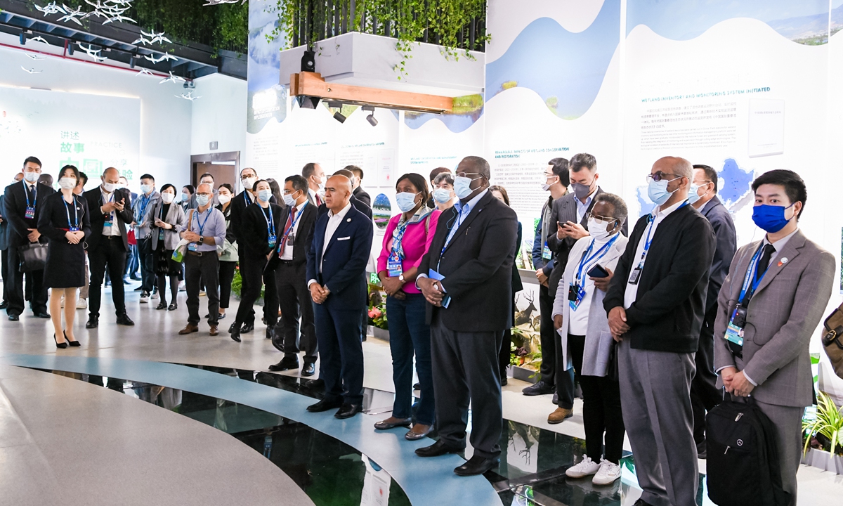 Foreign guests view an exhibition of China's wetland conservation achievements during the 14th Meeting of the Conference of the Contracting Parties to the Ramsar Convention on Wetland (COP14) held in Wuhan on November 7, 2022. Photo: Hu Yuwei/GT
