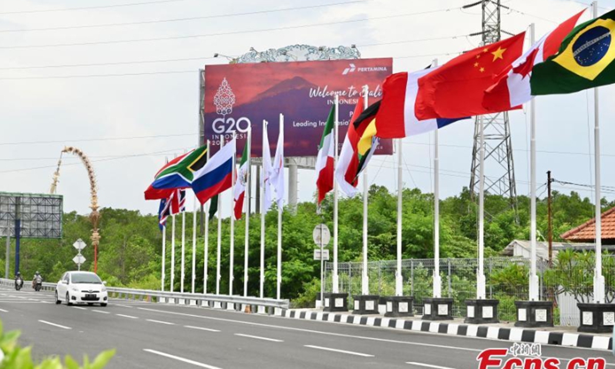 The flags of G20 member nations and posters are hung ahead of the G20 Summit in Bali, Indonesia, Nov. 13, 2022. Photo: China News Service