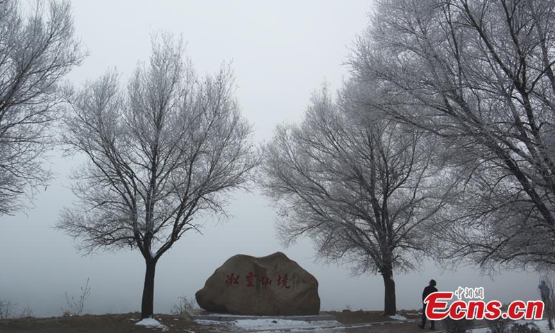 2022 年 11 月 15 日，中国东北吉林省吉林市，松花江两岸的树上挂着晶莹剔透的冰柱，用银白色的调色板覆盖着风景。（照片：中国新闻社/苍岩）