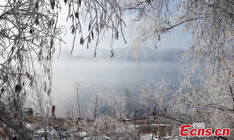2022 年 11 月 15 日，中国东北吉林省吉林市，松花江两岸的树上挂着晶莹剔透的冰柱，用银白色的调色板覆盖着风景。（照片：中国新闻社/苍岩）