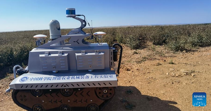 This photo taken on Sept. 16, 2022 shows a soil testing robot in the Dahewan Demonstration Zone in Hulun Buir City of north China's Inner Mongolia Autonomous Region. (Xinhua/Zou Jianpu)