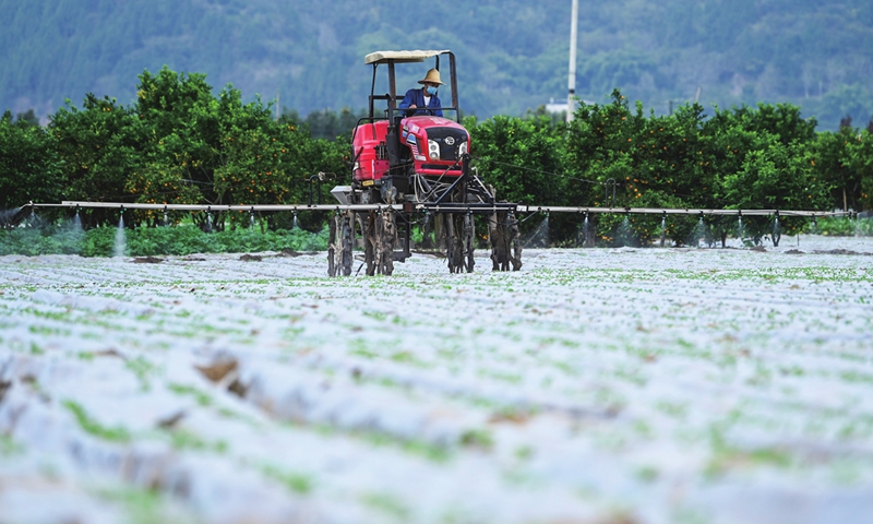 Vegetable farmers in Nanchong, Southwest China's Sichuan Province take advantage of the farming season on November 22, 2022, as they strengthen field management and protection such as seedling planting and protection in vegetable bases, and lay a good foundation to fill the nation's  vegetable basket. Photo:cnsphoto