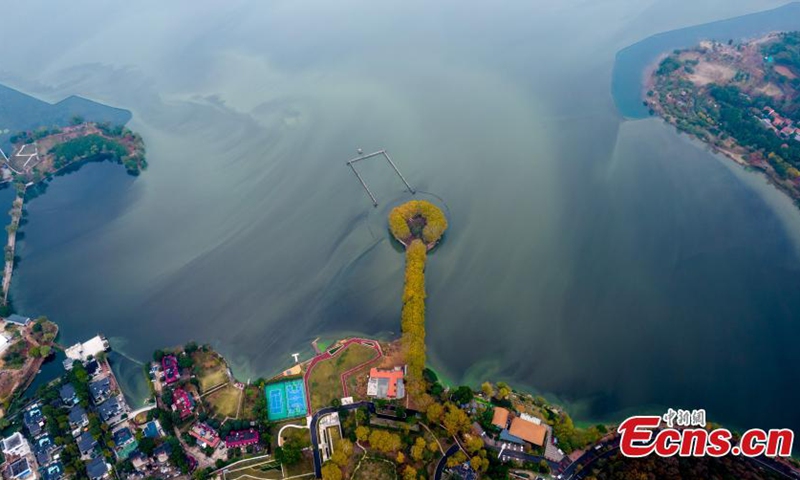 2022 年 11 月 21 日，中国中部湖北省武汉市，东湖国家湿地公园一条被梧桐树环绕的道路看起来像水上的金汤匙。（图片来源：中新社/张畅）