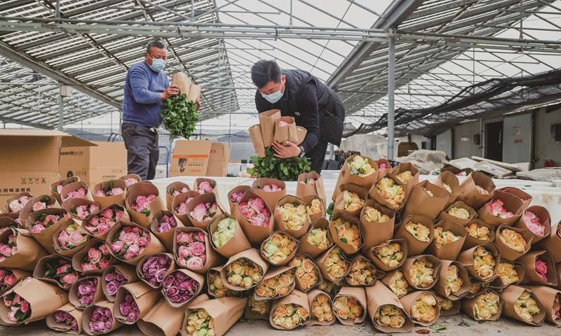 Workers pack newly picked roses at a greenhouse in Xiajia village, East China's Shandong Province, on November 23, 2022. The daily output of roses exceeds 100,000 plants. Xiajia village has about 15,000 mu (1,000 hectares) of flower planting bases, including rose, gerbera and lily sections. Photo: VCG