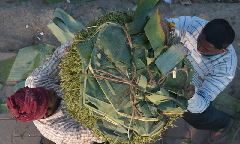 Labors carry betel leaves from a wholesale market to transport for retail shops in Agartala, the capital city of India's northeastern state of Tripura, Nov. 23, 2022. Photo: Xinhua
