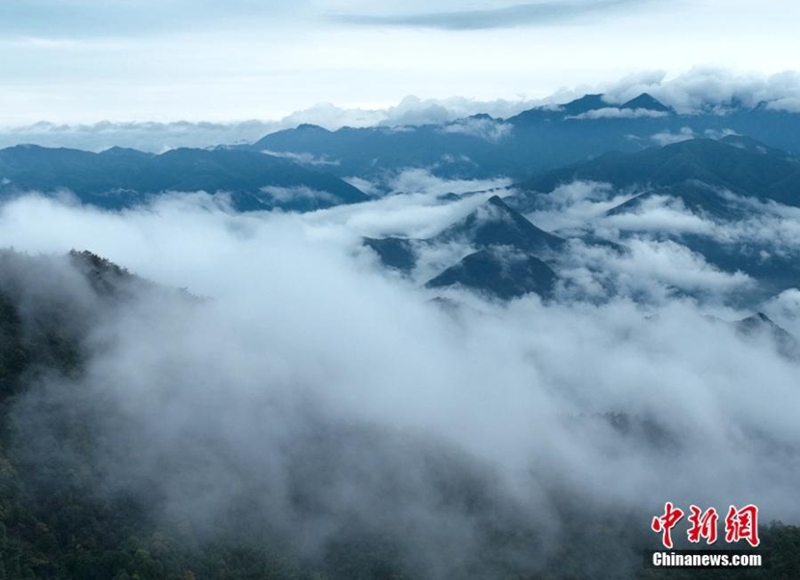 2022 年 11 月 22 日，中国东部江西省雨后云海笼罩武夷山的壮丽鸟瞰图。（照片提供给中新社）