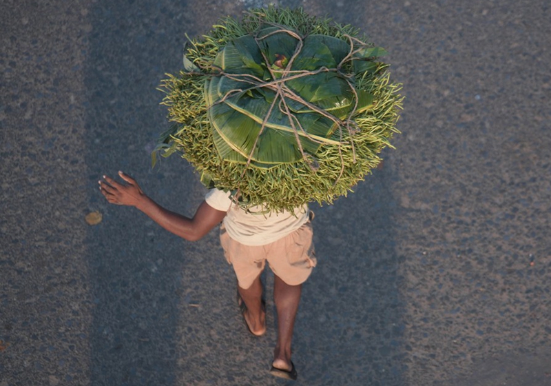 A labor carries betel leaves from a wholesale market to transport for retail shops in Agartala, the capital city of India's northeastern state of Tripura, Nov. 23, 2022. (Str/Xinhua)