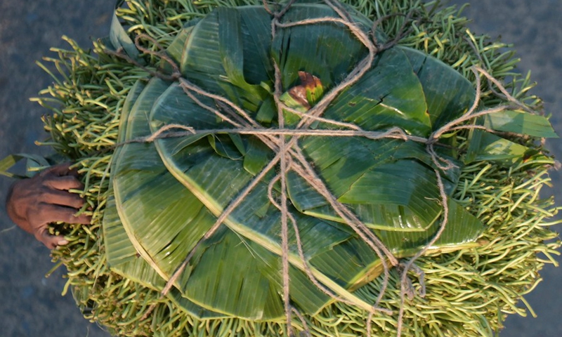 A labor carries betel leaves from a wholesale market to transport for retail shops in Agartala, the capital city of India's northeastern state of Tripura, Nov. 23, 2022. Photo: Xinhua