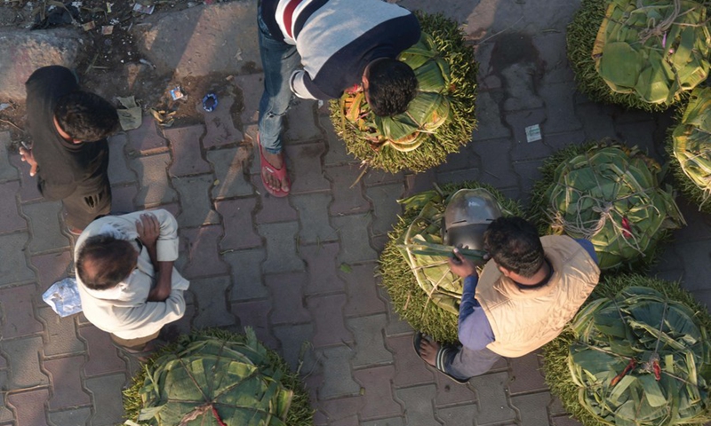 Labors carry betel leaves from a wholesale market to transport for retail shops in Agartala, the capital city of India's northeastern state of Tripura, Nov. 23, 2022. Photo: Xinhua