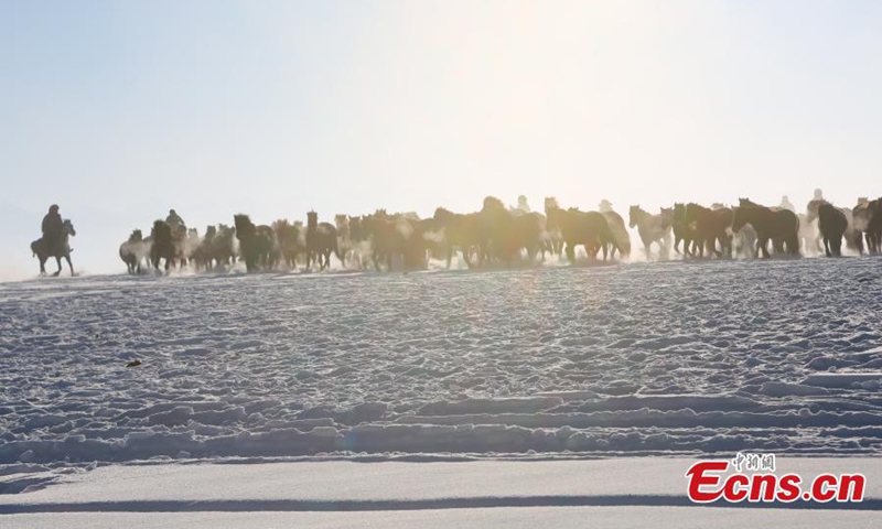 A herd of horses gallop on snow-covered prairie in Zhaosu county, known as hometown of pegasus, Kazak Autonomous Prefecture of Ili, northwest China's Xinjiang Uyghur Autonomous Region, Nov. 27, 2022. (Photo: China News Service/Li Wenwu)


