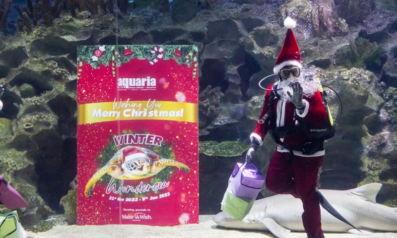 A diver dressed as Santa Claus performs during the Winter Wondersea event at Aquaria KLCC aquarium in Kuala Lumpur, Malaysia, Nov. 30, 2022.(Photo: Xinhua)