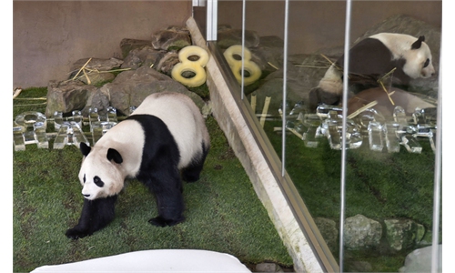 Best birthday wishes