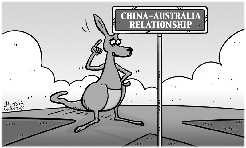 Australia Illustration: Chen Xia/GT