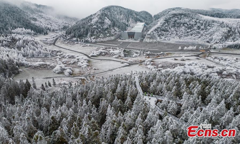 Trees are decorated with rime on Fairy Mountain in Chongqing, turning the mountain range a winter wonderland. (Photo: China News Service/Wang Junjie)
