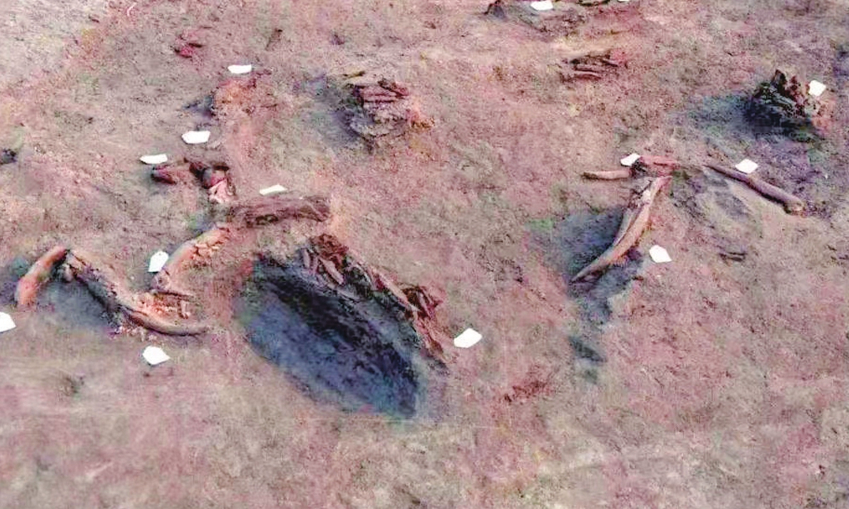 The site of Nanzhuangtou Ruins Photo: Courtesy of Sina Weibo 