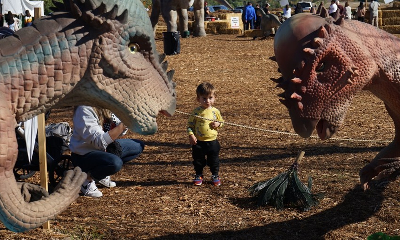 A child is seen at an exhibition named Dinosaurs in the Valley in Woodland Hills, California, the United States, on Dec. 18, 2022.(Photo: Xinhua)
