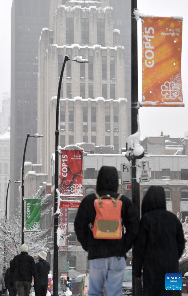 Flags of the second phase of the COP15 are seen on a street in Montreal, Canada, Dec. 17, 2022. The second phase of COP15, formally known as the 15th meeting of the Conference of the Parties to the UN Convention on Biological Diversity, takes place in Montreal, Canada on Dec. 7-19. Photo: Xinhua