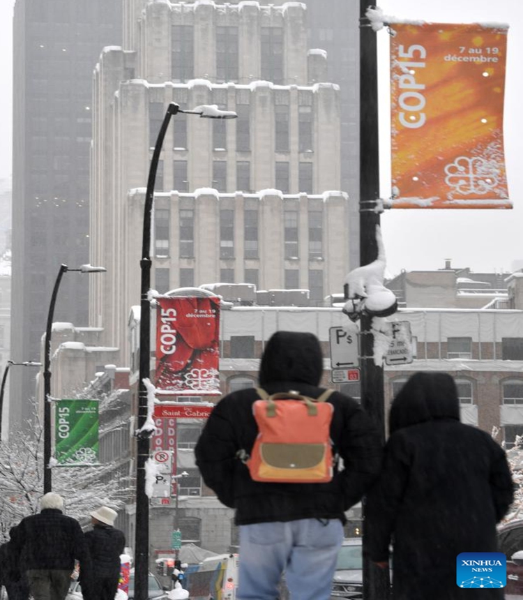 Flags of the second phase of the COP15 are seen on a street in Montreal, Canada, Dec. 17, 2022. The second phase of COP15, formally known as the 15th meeting of the Conference of the Parties to the UN Convention on Biological Diversity, takes place in Montreal, Canada on Dec. 7-19. (Xinhua/Lian Yi)