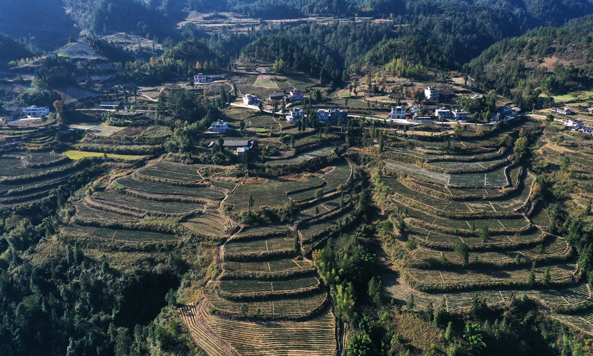 A view of Jingzhu village in the Chongqing Municipality File photo: VCG