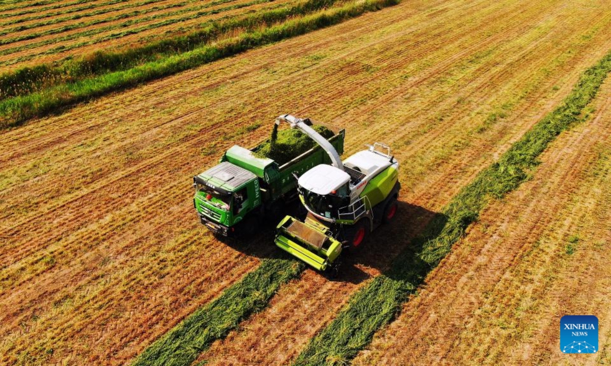 This aerial photo shows workers of Shandong Lvfeng Agriculture Group Co., Ltd. harvesting grass in Wudi County, east China's Shandong Province, in May, 2022. Photo:Xinhua