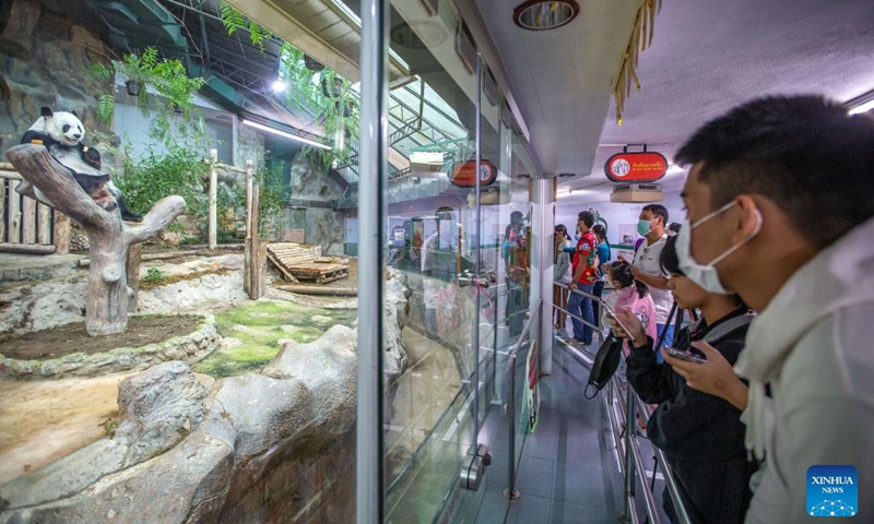 Visitors take photos of giant panda Lin Hui at Chiang Mai Zoo in Chiang Mai, Thailand, Dec. 23, 2022. Lin Hui arrived in Chiang Mai on loan from China at the age of two in 2003. (Xinhua/Wang Teng)