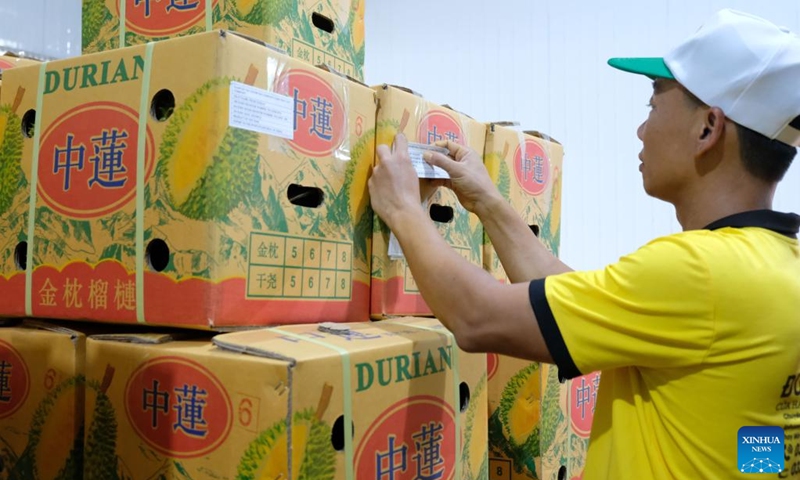A staff member stamps label on boxes of fresh durians before exporting to China at a factory in Bao Lam district, Vietnam's central highlands Lam Dong province, on Sept. 20, 2022.(Photo: Xinhua)