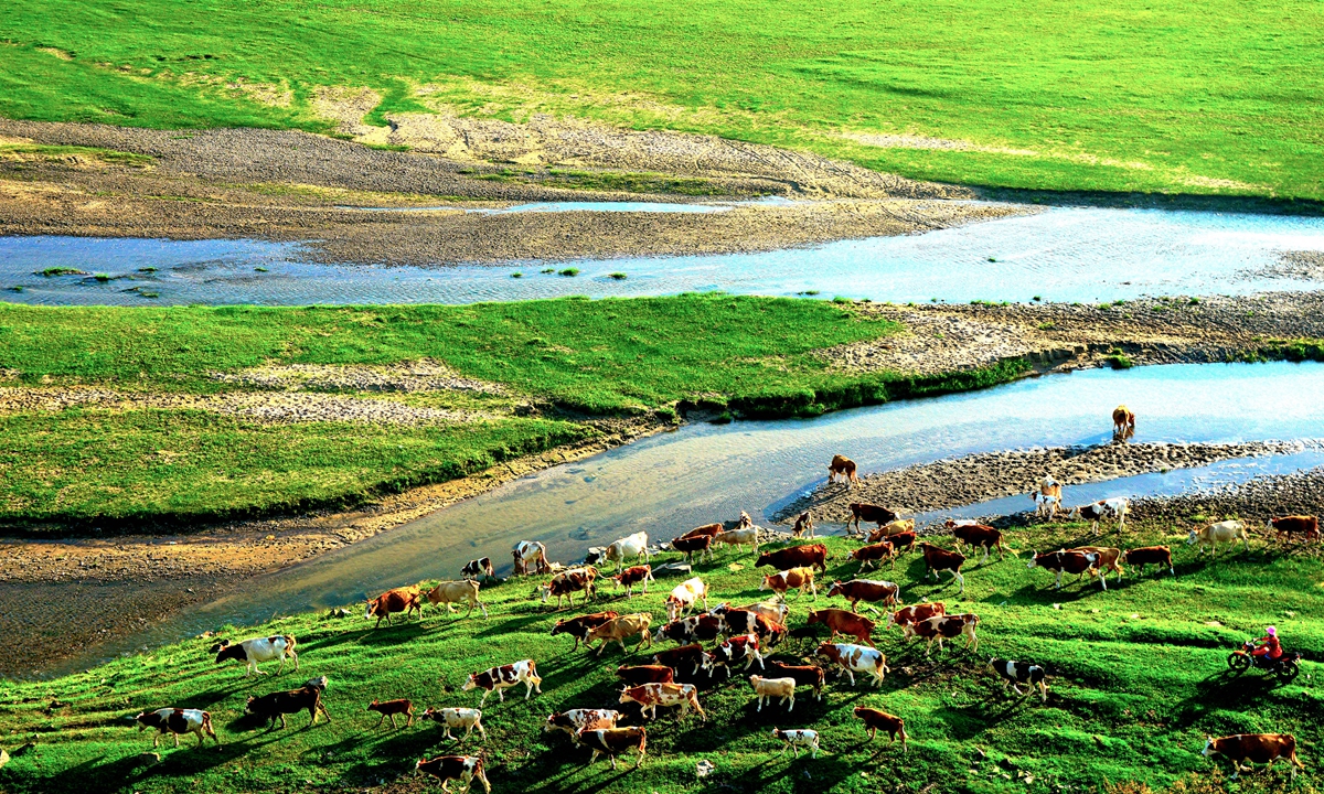 A view of the Horqin Grassland, North China's Inner Mongolia Autonomous Region Photo: cnsphoto