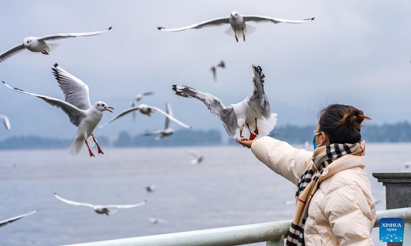 A tourist feeds black-headed gulls by the bank of Dianchi Lake in Kunming, southwest China's Yunnan Province, Jan. 1, 2023. People take part in various leisure activities to spend the New Year holiday. (Xinhua/Cao Mengyao)