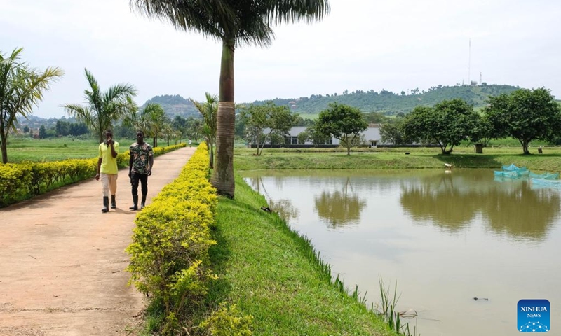 Local workers walk by the fishponds at the Aquaculture Research and Development Centre in Kajjansi, Wakiso District, Uganda, Dec. 21, 2022. (Photo by Hajarah Nalwadda/Xinhua)