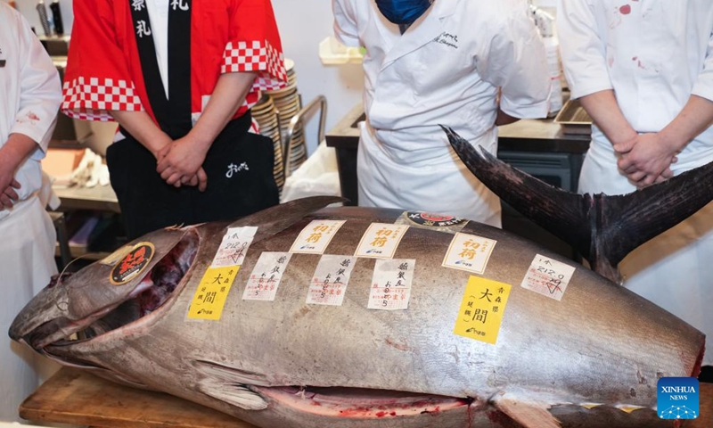 A chef looks at a bluefin tuna in a shop in Tokyo, Japan, Jan. 5, 2023. A 212-kilogram bluefin tuna caught off the northern Japan town of Oma, Aomori Prefecture, fetched 36.04 million yen (about 271,500 U.S. dollars) in the first auction of 2023 at Toyosu market early on Thursday.(Photo: Xinhua)