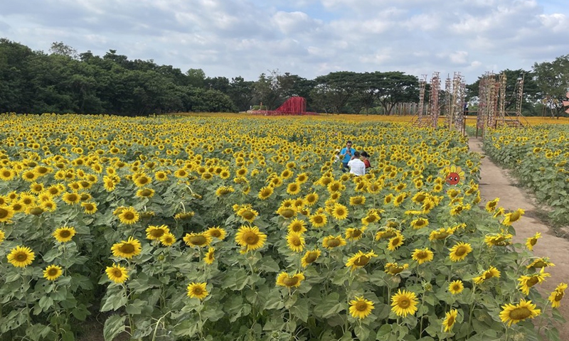 Tourists have fun at Jim Thompson Farm, three hours drive away from Bangkok, Thailand, Dec. 25, 2022.(Photo: Xinhua)