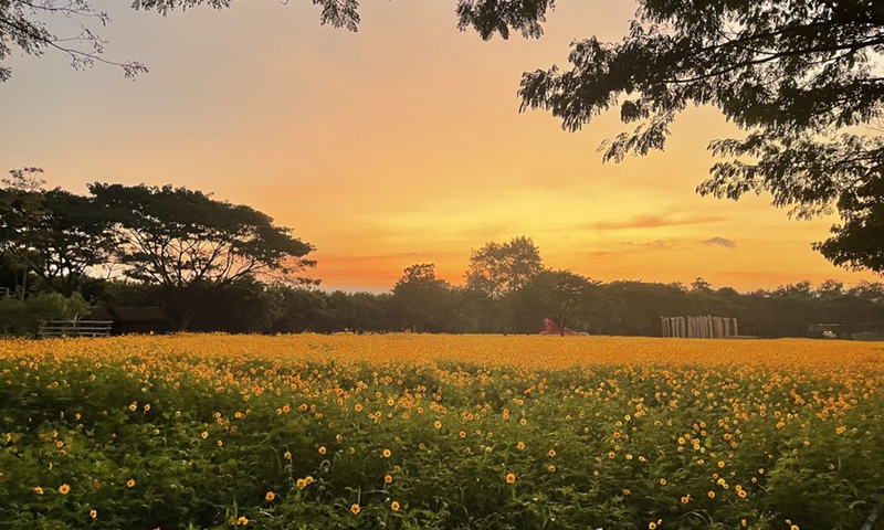 This photo taken on Dec. 25, 2022 shows a view of Jim Thompson Farm, three hours drive away from Bangkok, Thailand. (Photo: Xinhua)