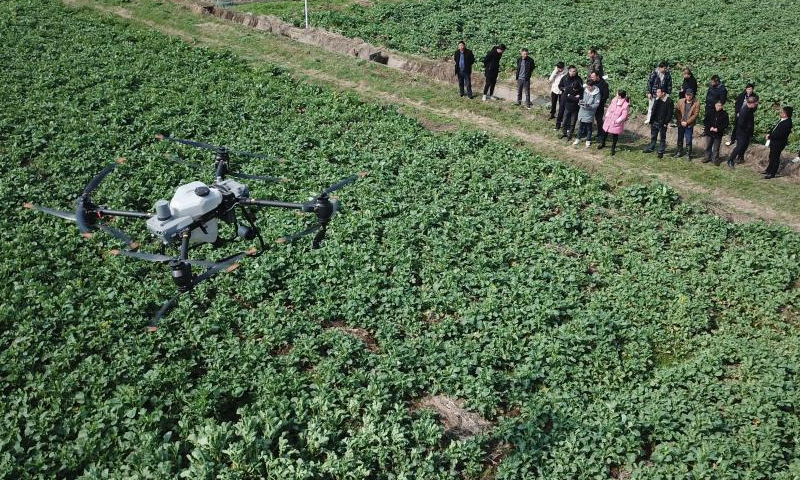 Trainees watch a drone takeoff demonstration in the field in Fu'an Village of Gonghua Town in Yuanjiang, central China's Hunan Province, Feb. 15, 2023. Fu'an Village conducted a drone operation training on Wednesday for local villagers to prepare for the spring ploughing. Photo: Xinhua