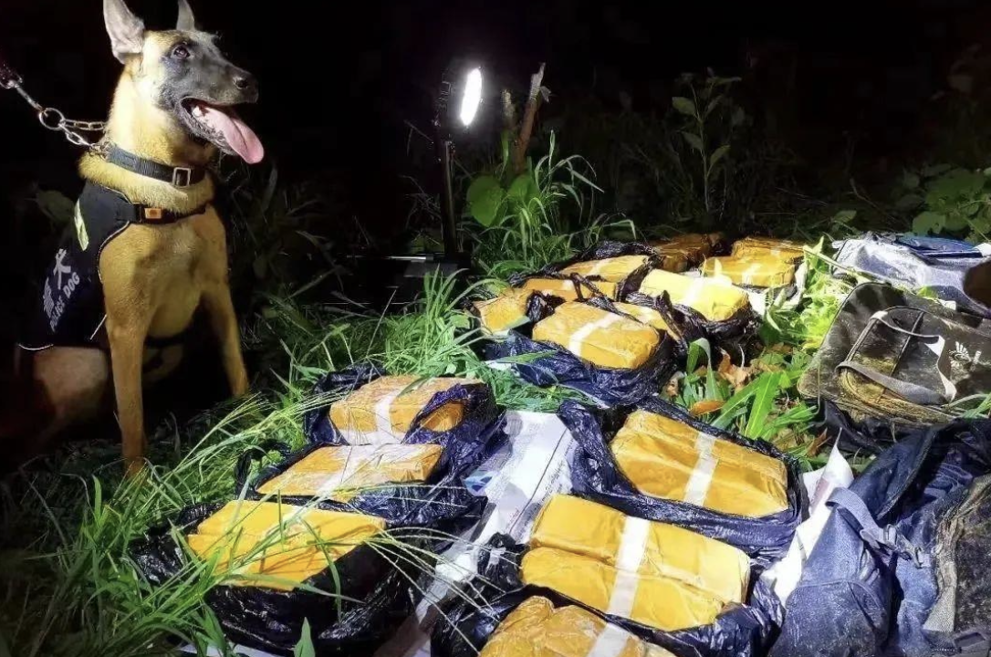 Photo: Screenshot from webiste