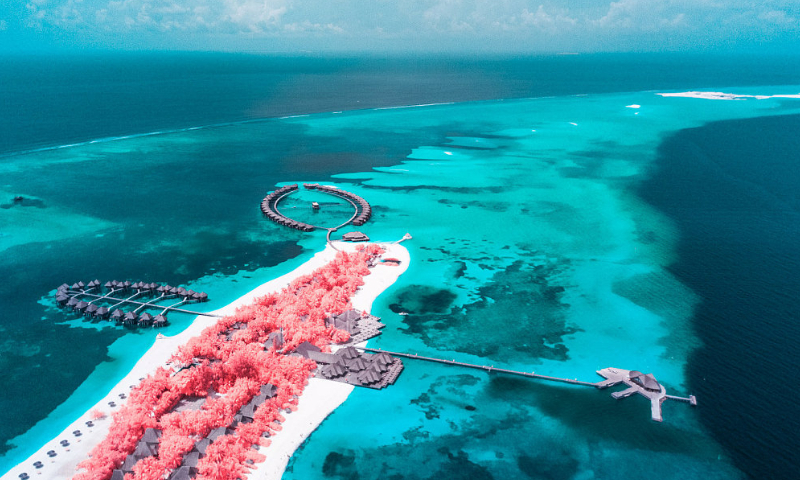 Photo shows a mesmerizing and stark contrast between the red palm trees and the famed crystal clear water of the Maldives. Using an infra-red filter camera, Italian photographer Paolo Pettigiani captured the spectacular scenery of the picturesque island. Photo: VCG