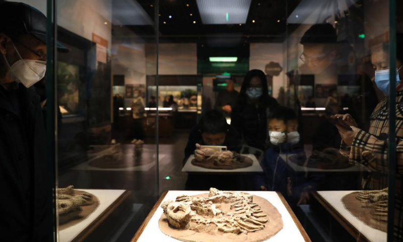 Tourists visit the Liaoning Museum in Shenyang, northeast China's Liaoning Province, Feb. 18, 2023. Photo: Xinhua