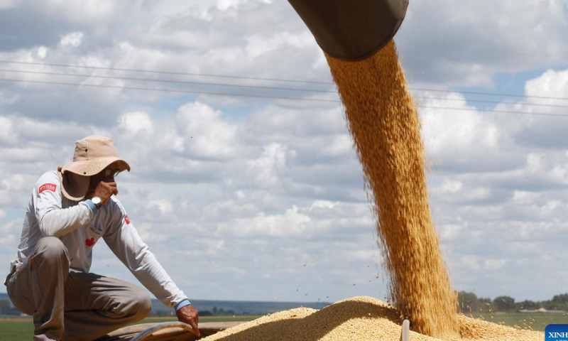 A farming machine harvests soybeans at the Nativa farm near Brasilia, Brazil, Feb. 11, 2023. Photo: Xinhua