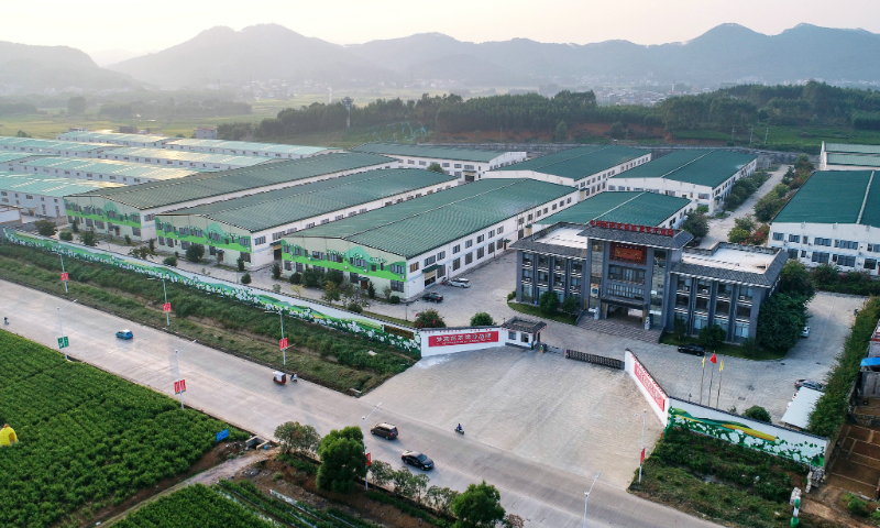The renowned jasmine production base in Hengzhou, South China's Guangxi Zhuang Autonomous Region Photo: Courtesy of Hengzhou publicity authority