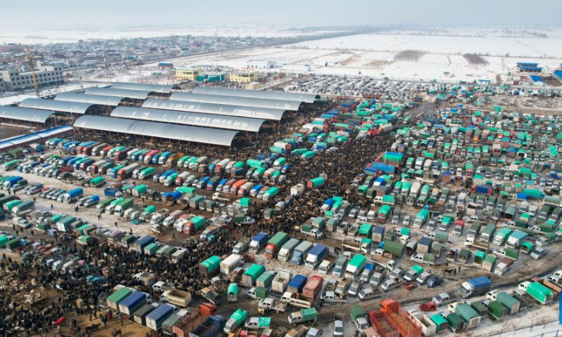 This aerial photo taken on Feb. 1, 2023 shows a busy agricultural products market in Yining County, northwest China's Xinjiang Uygur Autonomous Region. People gathered here to trade various goods, including live cattle, sheep and horses. Photo: Xinhua