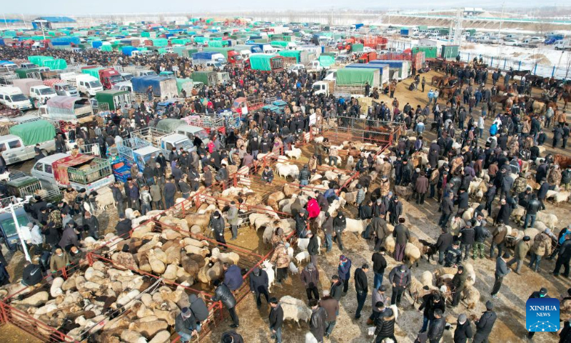 На этом аэрофотоснимке, сделанном 1 февраля 2023 года, показаны люди, выбирающие крупный рогатый скот и овец на рынке сельскохозяйственной продукции в уезде Инин Синьцзян-Уйгурского автономного района на северо-западе Китая.  Здесь собирались люди, чтобы торговать различными товарами, в том числе живым скотом, овцами и лошадьми.  Фото: Синьхуа