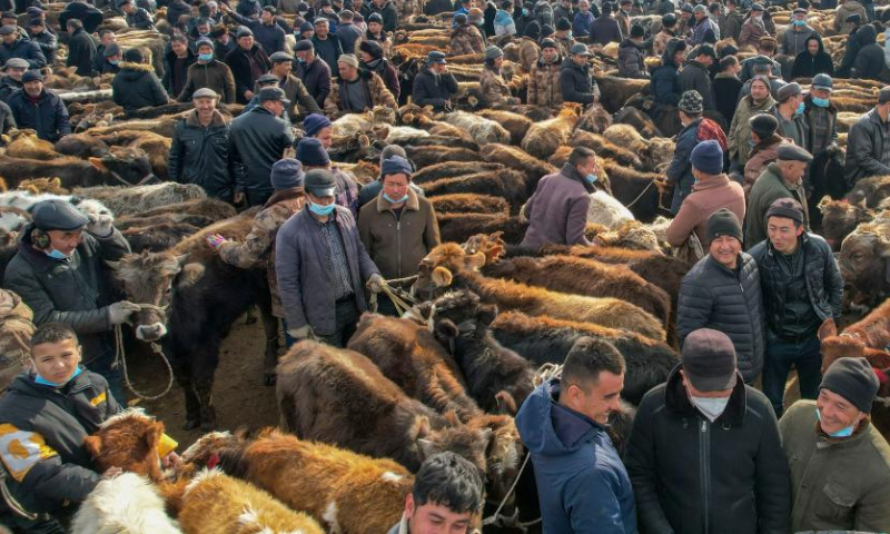 This aerial photo taken on Feb. 1, 2023 shows a busy agricultural products market in Yining County, northwest China's Xinjiang Uygur Autonomous Region. Photo: Xinhua