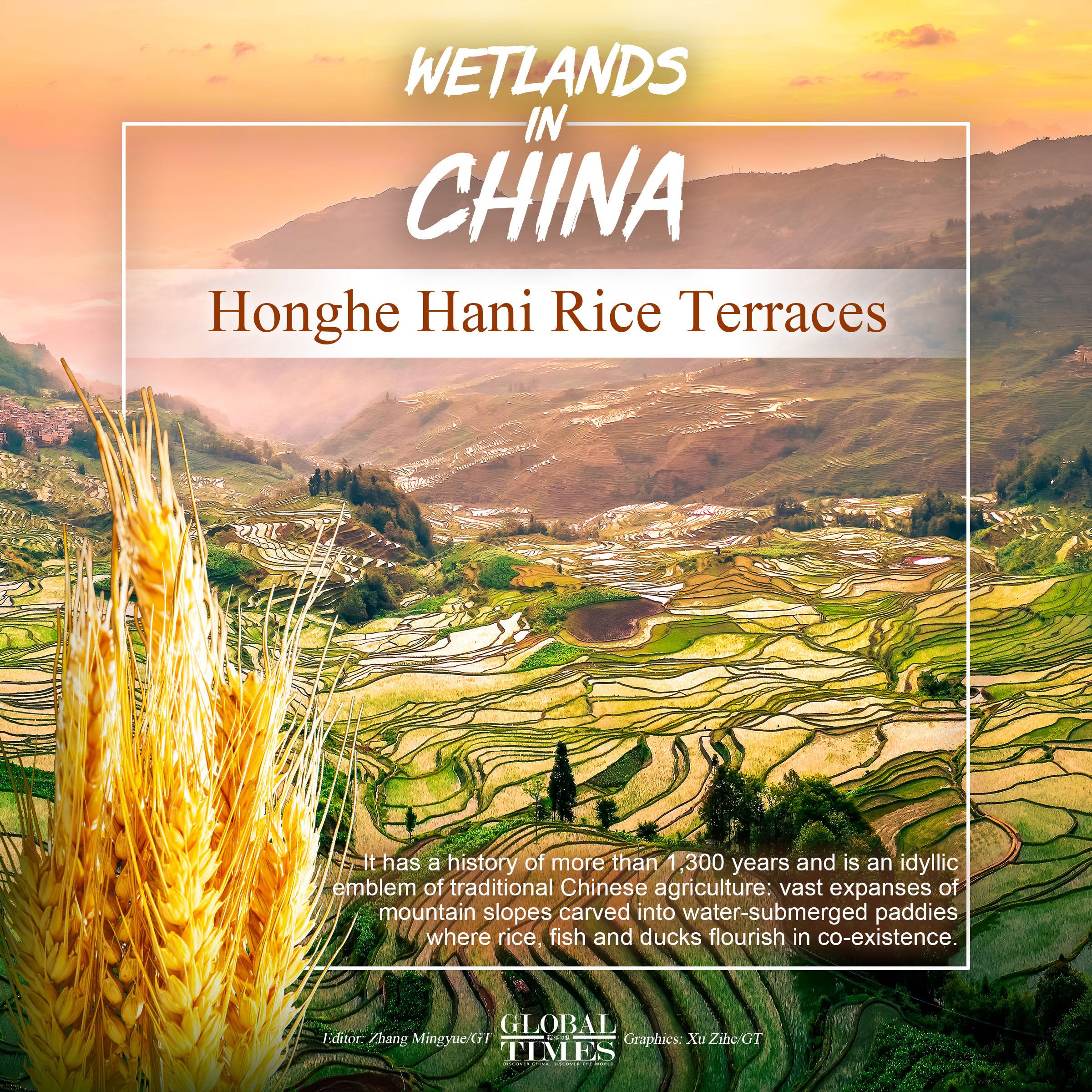 Wetlands in China. Editor: Zhang Mingyue/GT Graphics: Xu Zihe/GT